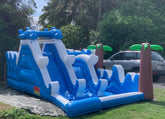 Dauphin Splash (PVC)