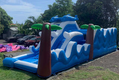 Dauphin Splash (PVC)