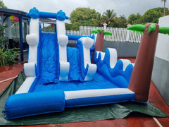 Dauphin Splash (PVC)