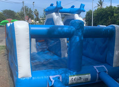 Dauphin Splash (PVC)